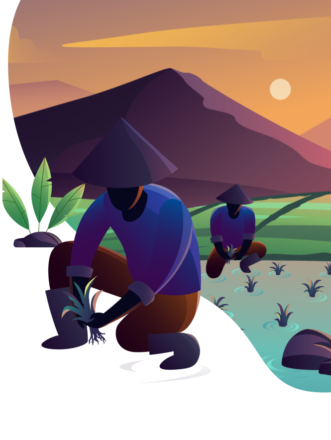 Productores del campo